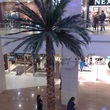 Искусственные пальмы для Торговых центров.