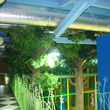 Оформление, озеленение игровой зоны искусственными деревьями высотой 8,0м в детском развлекательном центре "Сказка" г. Кострома - 2014г.