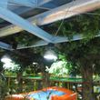 Оформление, озеленение игровой зоны искусственными деревьями высотой 8,0м в детском развлекательном центре "Сказка" г. Кострома - 2014г.