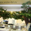 Декорирование колонн искусственными деревьями дубами для любого помещения. Купить. Заказать.