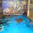 3D пол - Морское дно с дельфином и черепахой. - Детский сад г. Москва - 2014 г.