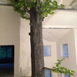 Большое искусственное дерево. Декорирование колонны высотой 7,5м под искусственное дерево - Ясень. МО, п. Витенево, 2017г. Купить или заказать.