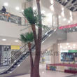 Искусственная трехствольная пальма в ТЦ г. Тула