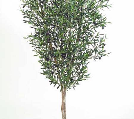 Искусственное дерево "Олива Нэйчерел с плодами" - высота: 120 см; 150 см; 180 см