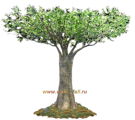 Искусственные деревья вид "Олива - Новинка"