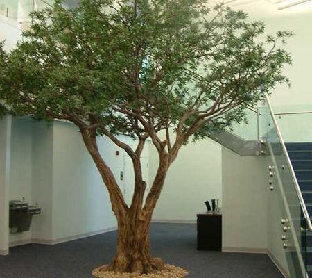НОВИНКА! Искусственное дерево Оливия многоствольная.