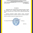 Искусственная сосна (половинка) высотой 2,78мЮ диаметр ствола -0,2м для тематического панно "о.Байкал" в школе г. Москва -2014г.