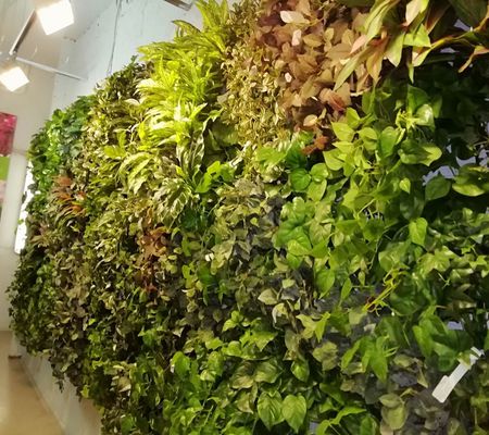 Зеленая стена из искусственных растений