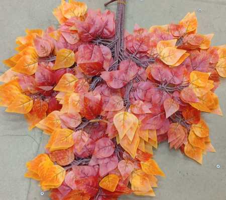 Ветка березы осенняя.