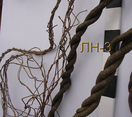 Лиана натуральная - ЛН3
