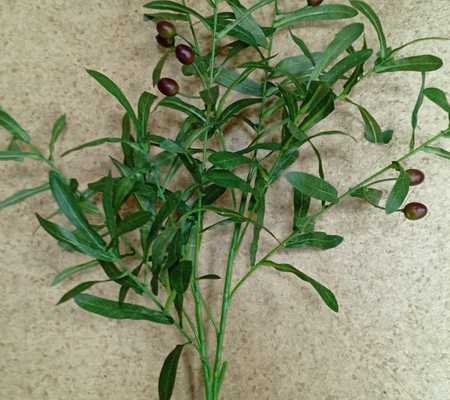 Искусственная ветка Оливы с плодами.