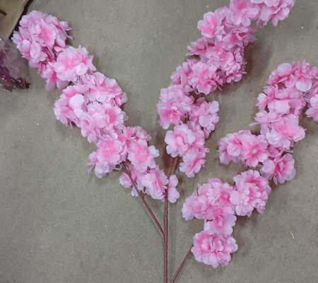 Ветка сакуры розовая